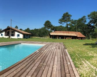 Authentic accommodation of the XXth century and all comfort (swimming pool, jacuzzi) - Luxey - Piscine