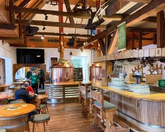 Hotel Brauhaus Wiesenmühle - Fulda - Bar