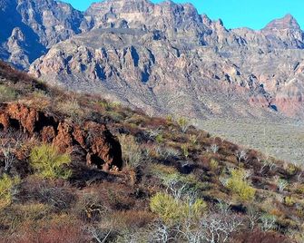 Tripui Hotel - Loreto - Utomhus