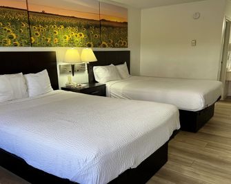 Days Inn by Wyndham Overland Park/Metcalf/Convention Center - Overland Park - Bedroom