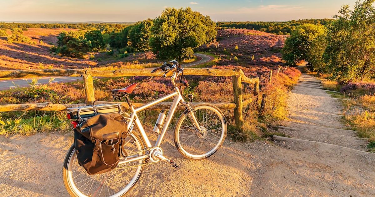 Parkhotel De Bosrand from Ede Hotel Deals Reviews KAYAK