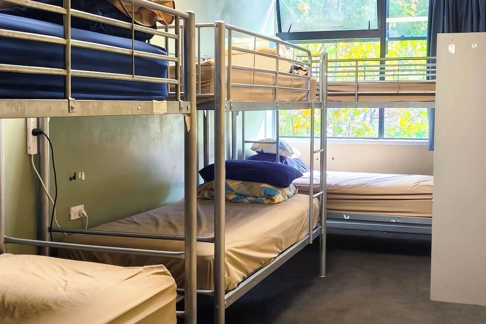 Silverfern Backpackers - אוקלנד - חדר שינה