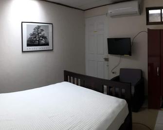 Furnished Apt. A/C 5min from SJO Airpt Wifi 50Mb - Colón - Habitación