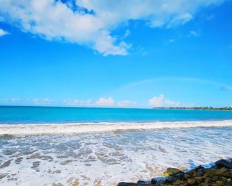 Selva Boutique Hotel - Luquillo Oceanfront Retreat - Adults Only - Luquillo - Strand