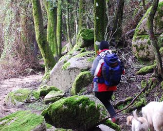 I Gerani - Quartu Sant'Elena