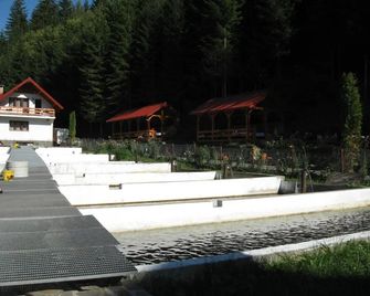 Hotel Paltinis - Borşa