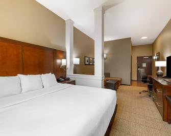 Comfort Suites West Omaha - Omaha - Soveværelse