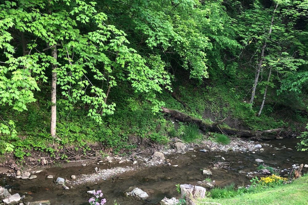 Outdoors view view of The Willow Cabin - Luxury Cabin on the Creek close to attractions