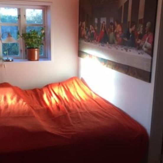 Idyllisk anneks, hvor lejer har eget hus. – Vejle