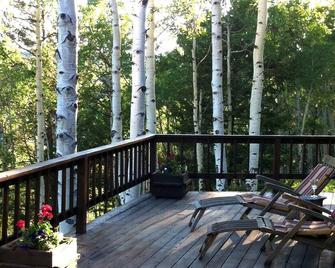 Hillside Cabin with Panorama Views of the San Juans - Cimarron - Balcony