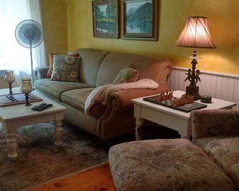 Village Farmhouse, mins to Okemo, Killington, Ascutney, GMHA. Pet-friendly. - Reading - Living room