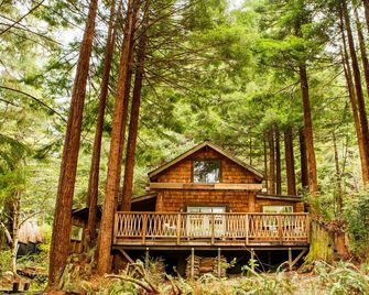 An Architects Studio- In a Secluded Forest - Trinidad - Building