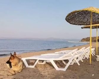 Zeus Kir Evi - Bozcaada - Praia
