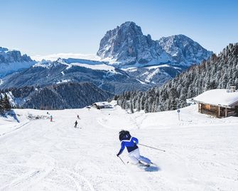 Hotel Cosmea Dolomites - Ортізеї
