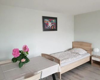Mainzimmer Business Appartment - Monteurwohnung mit Burgblick - Wertheim - Schlafzimmer
