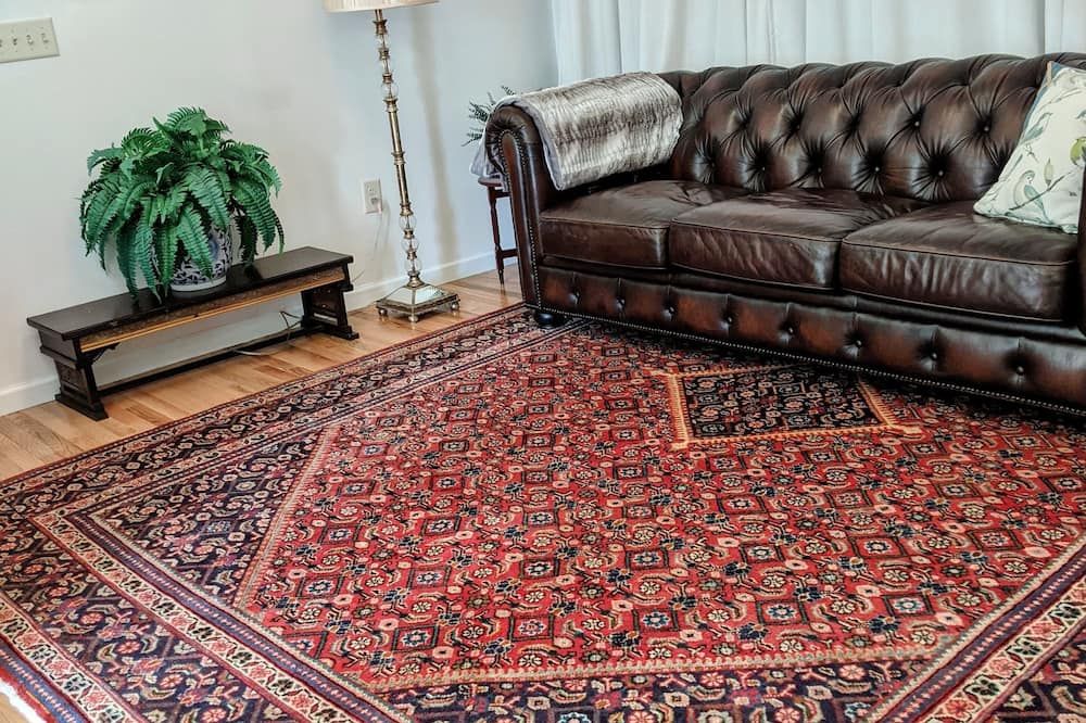 1901 Storefront Studio: King Saatva Bed & Retro Charm - جيم ثورب - غرفة معيشة