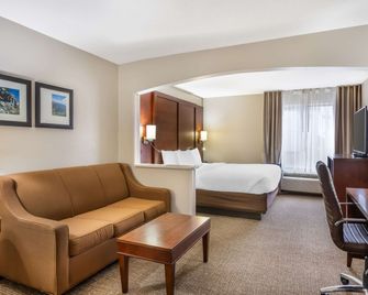 Comfort Inn & Suites Conway - Conway - Phòng ngủ