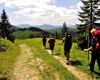 Akzent Hotel Am Burgholz - Tabarz
