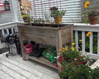 The Strand House with hot tub - Kingston - Outdoors view