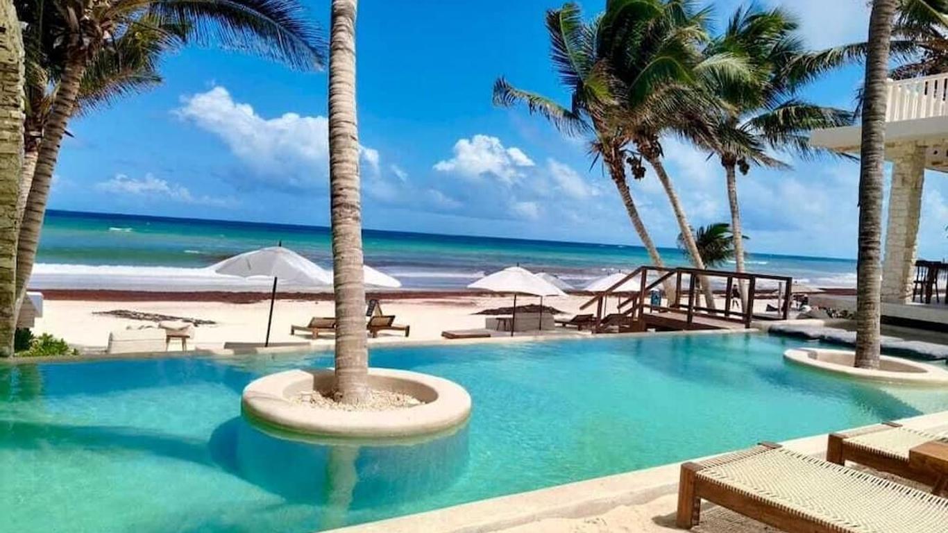 أزوكار هوتل تولوم