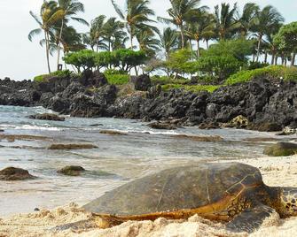 Lovely Room. Wir Sprechen Deutsch. Tropical Garden, Quiet - Kailua-Kona - Beach