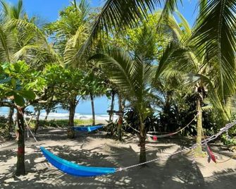 Hotel El Icaco Tortuguero - Tortuguero - Beach