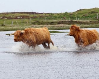 Kelp Cottage - Isle of South Uist