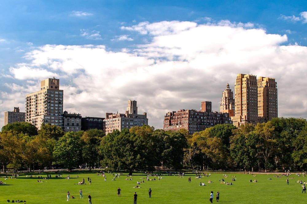 Kama Central Park - New York