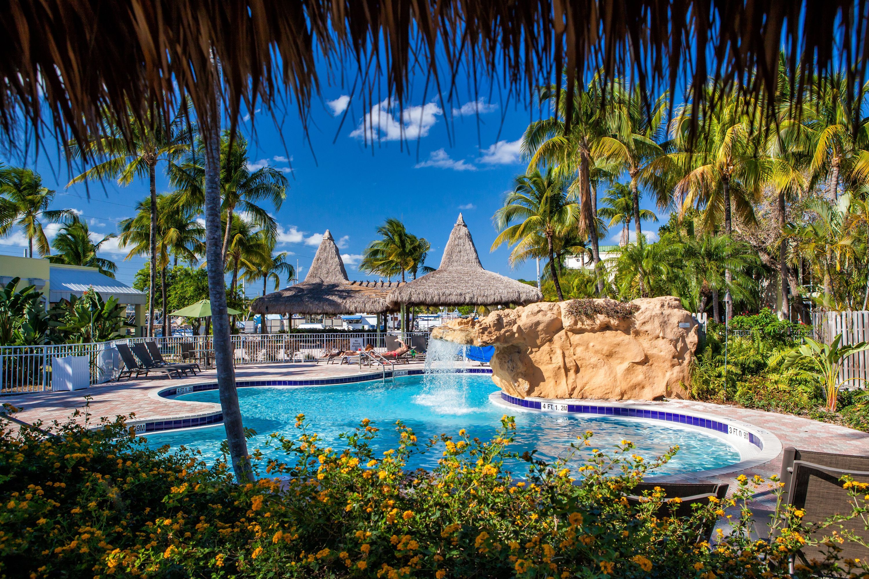 Holiday Inn Key Largo By IHG - קי לארגו - בריכה