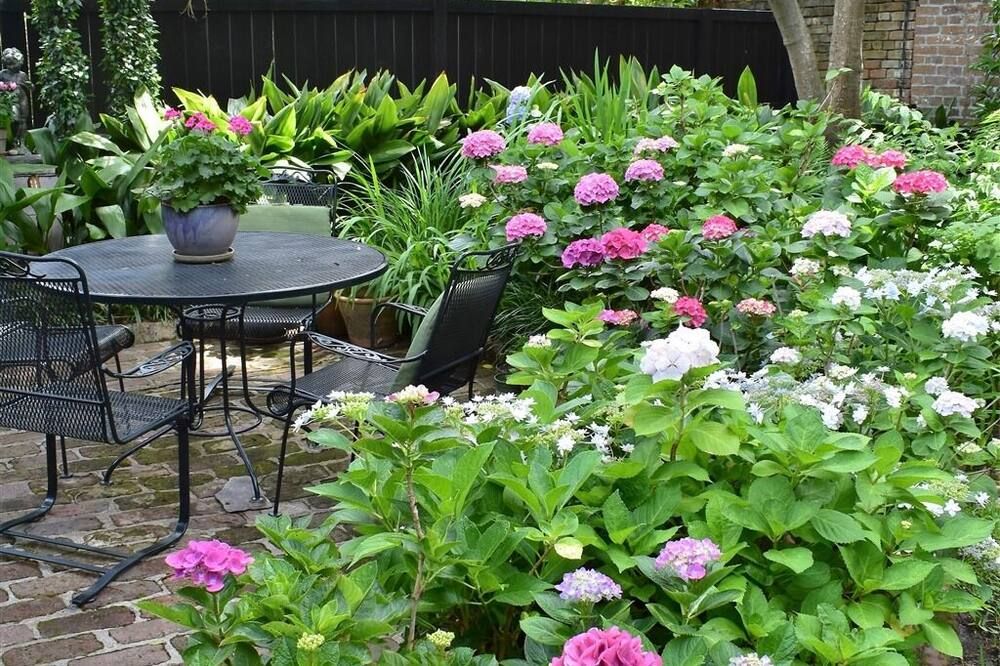 Charming Kitchen House with Beautiful Garden - צ'רלסטון - פטיו