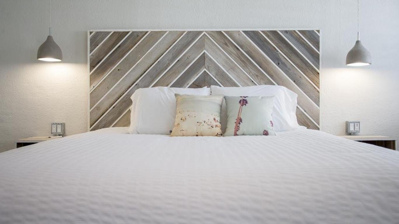 The Hotel Palms