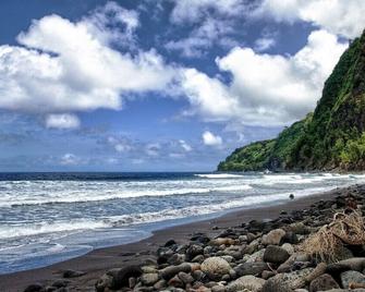 Waipio Valley and Ocean View - Honokaa - Beach