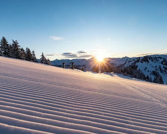 S'Matt Bob - Feldkirch