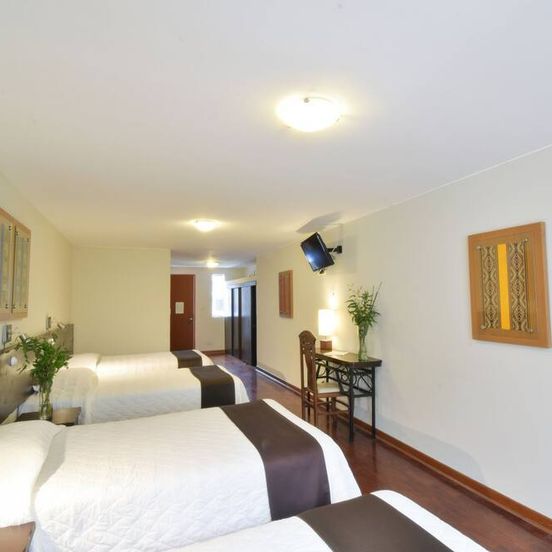Hotel Senorial image 1
