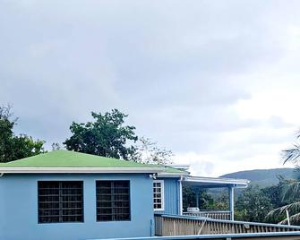 Lush mountain views in a quiet area on island. Only 20 mins to Magens Beach. - Saint Thomas Island