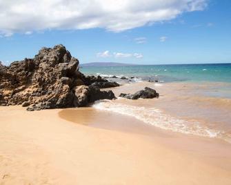 Hale Kamaole #113 - 1 Br Condo - Wailea - Playa