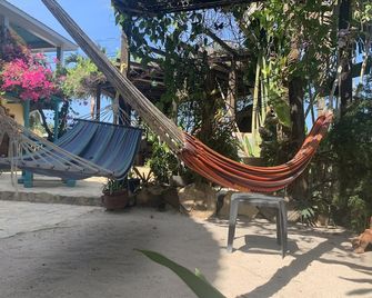 Private Orchid Room w/AC @ All Seasons Belize - Hopkins - Terasa