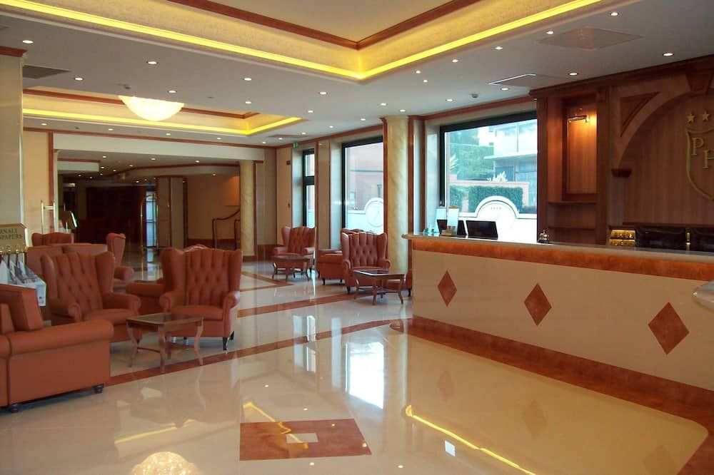 Palace Hotel Legnano - Legnano - Salónek