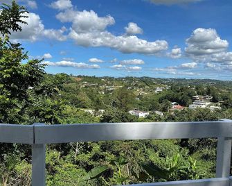 Spacious 1br apartment w a-c in wonderful Barranquitas with WiFi & great views! - Barranquitas - Balcón