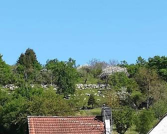 New, modern, barrier-free accessible guest room with private bathroom - Neuwied - Außenansicht