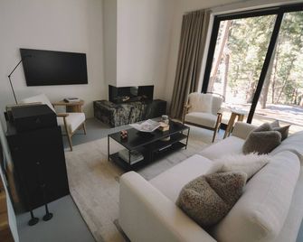 Designer Cabin in Taos Ski Valley - Taos Ski Valley - Living room