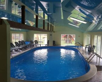 Casa Siady - Vatra Dornei - Pool