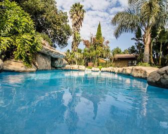 Summer Garden Guest House (The Palms) - Benoni - Piscina