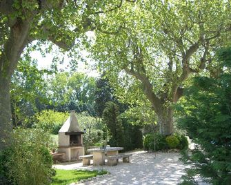 Old Mas in Provence with swimming pool - Cabannes - Patio