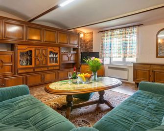 Stunning private villa for 8 people with WIFI, private pool, TV, patio and pets allowed - Klatovy - Living room