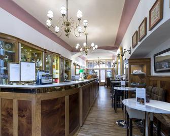 Hotel U Zlateho jelena - Prague - Bar