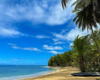 Beachside Apartment with Ocean View, Garden and 2 Swimming Pools - Las Terrenas - Platja