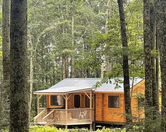 Ricketts Glen Fern View Cabin - Benton
