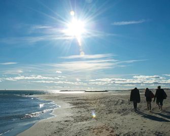 HoteI de la Plage Montpellier Sud - Palavas-les-Flots - Beach