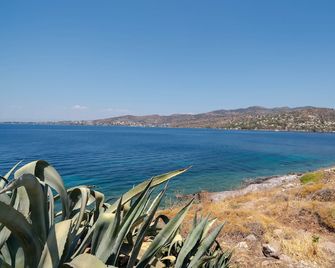 Absolute Perdika Aegina - Perdika (Egina)